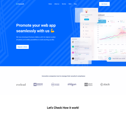 Datasoft Web <br> &amp; Application Design